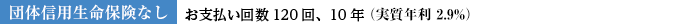 団体信用生命保険なし お支払い回数120回、10年(実質年利2.9%)